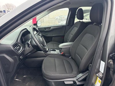 2025 Ford Escape Active AWD