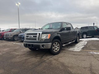 2009 Ford F-150 4WD SuperCrew Styleside 5-1/2 Ft Box XL